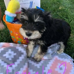 Meet your Posher, Barbara